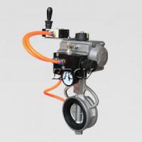 手控膨脹式蝶閥